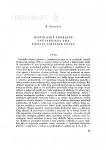 Histološke promjene unutarnjega uha poslije virusnih upala / R. Subotić