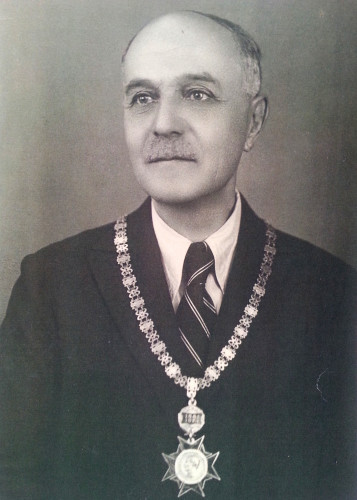 Majnarić, Nikola