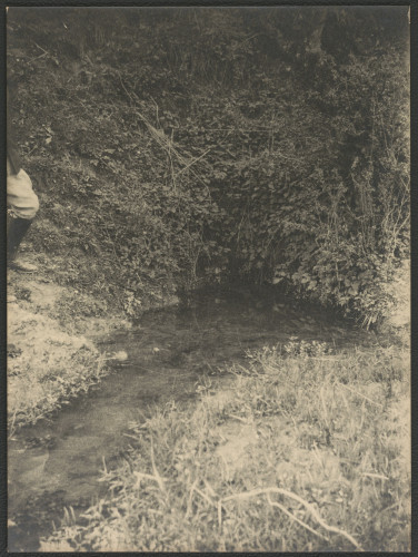 Bužim - izvor 