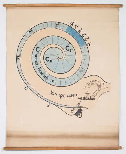 Shematski prikaz unutarnjega uha