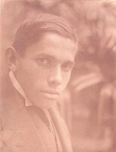 Steiner, Milan