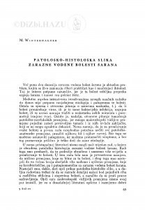 Patološko-histološka slika zarazne vodene bolesti šarana / M. Winterhalter