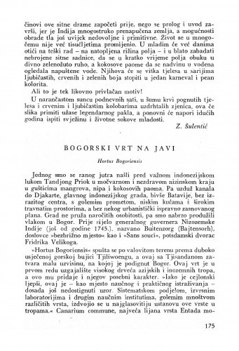 Bogorski vrt na Javi / Zlatko Šulentić