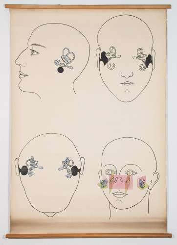 Četiri prikaza položaja srednjeg i unutarnjega uha