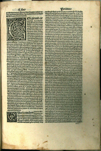 Quaestiones Antonij andree super duodecim libros methaphysice