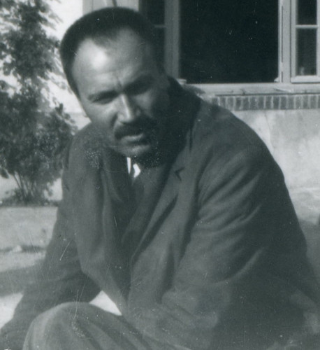Mušič, Zoran