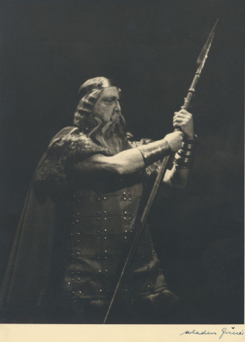 Rajnino zlato
