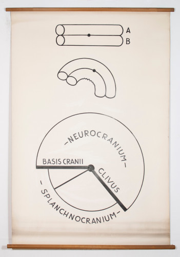 Pritisak neurokranija na splanhnokranij