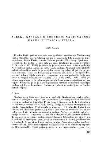 Jurske naslage u području nacionalnog parka Plitvička jezera / A. Polšak