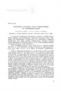 Thiophysa gigantea, nova tiobakterija sa Jadranske obale / Z. Klas