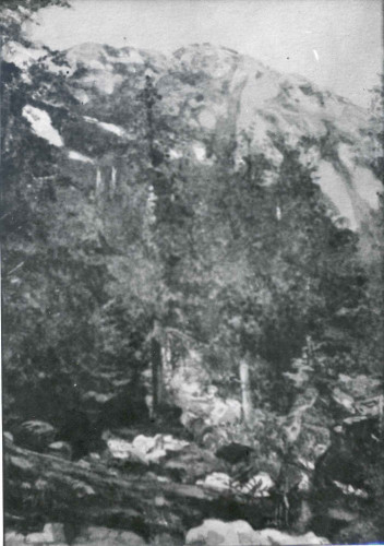 Risnjak