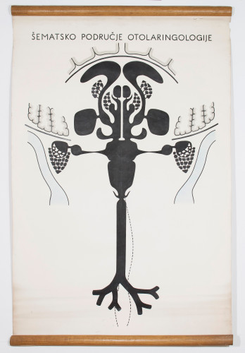 Shematski prikaz organa i područja u domeni otorinolaringologije