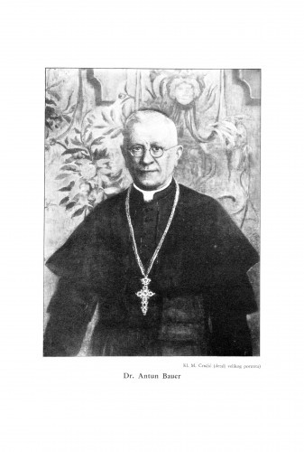 Dr. Antun Bauer : pokrovitelj Jugoslavenske akademije znanosti i umjetnosti (1915-1937) : [spomen-slovo] / Albert Bazala