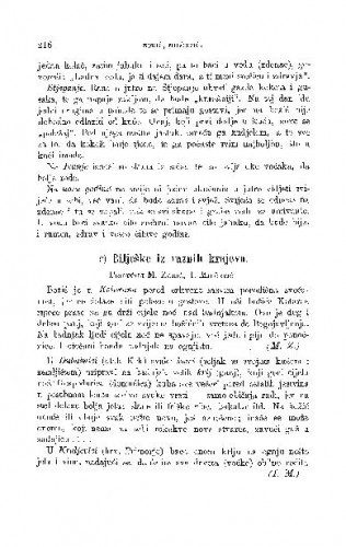 Bilješke iz raznih krajeva : božićni blagdani / M. Zorić, I. Milčetić