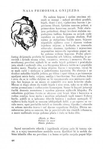 Naša primorska gnijezda / Zlatko Šulentić