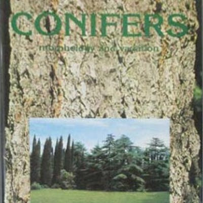 Conifers : morphology and variation / Mirko Vidaković ; translated by Maja Šoljan