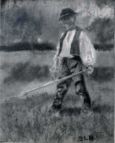 Dječak s kosom