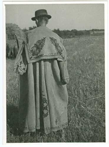 Pastir s leđa