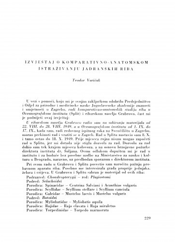 Izvještaj o komparativno-anatomskom istraživanju jadranskih riba / T. Varićak